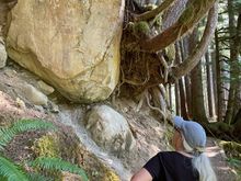 Are you sure this rock is going to stay there?