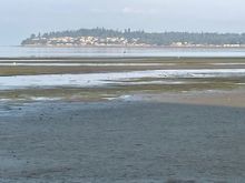 Could it be because the tide goes out so far in the morning that you can "walk on water"?