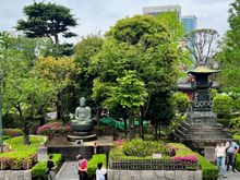 Beautiful Douen Garden.