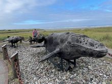 Larger wood carvings of whales.