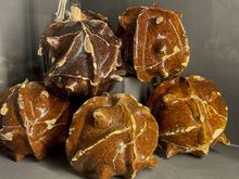 16th century hand grenades at the Castello Maniace