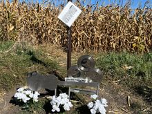 3 records and a guitar for markers and a photo book of the news parer articles about the crash.