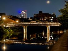 Shot's from my Bridge period, not as well known as Picasso's Blue period but still some of my better work