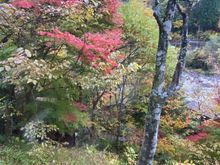 View from our window 