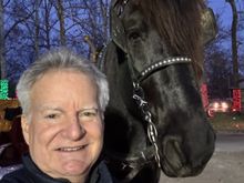 Beautiful horse!!! The photobomber not so much.....