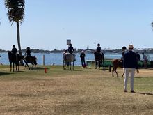 Nice spot on the Broadwater for the equestrian events.