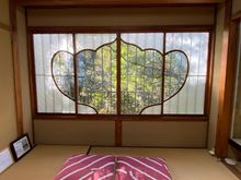 Gorgeous rooms and window 