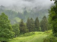 Sometimes it is a farm track 