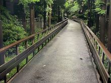 Shinjuku Promenade Park