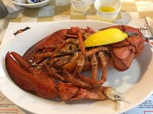 My husband's 1.5 pound lobstah!