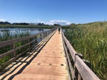 Lovely Dunelands Trail but we much preferred Greenwich Dunes.