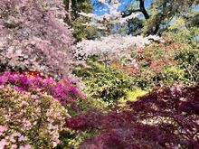 Descanso Garden - Japanese Garden