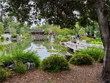 Huntington Gardens- stunning.