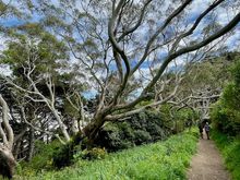 Further up the trail