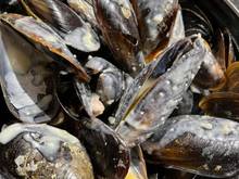  A perfectly fine moules roquefort at Le Colins (2.7 stars on google)