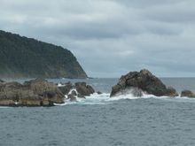 To the Tasman Sea