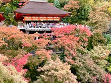 And looking back from the wooden stage of the main hall