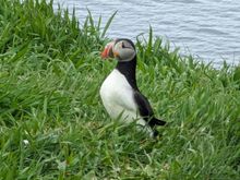 At times, we were no more than three or four feet away from the little guys