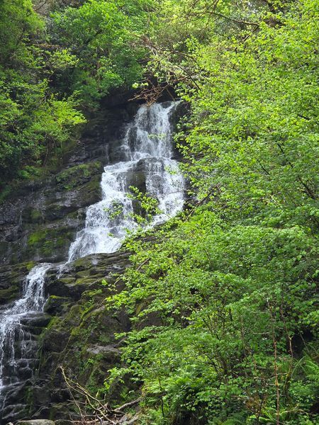 Killarney waterfall