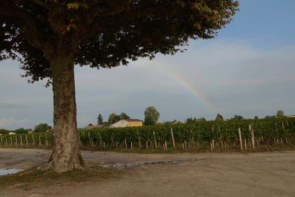 Our first winery. Must be a sign to buy...
