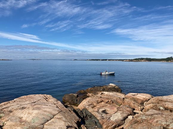 View from Coolidge Reservation