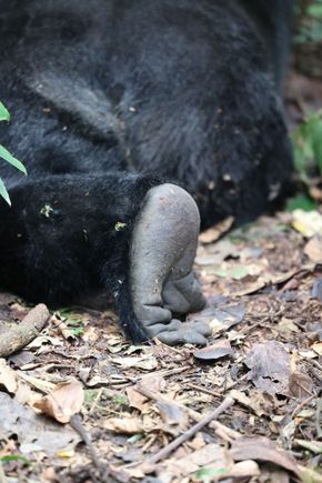 clearly, I was intrigued by feet!