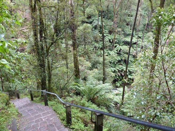 Walking trail 