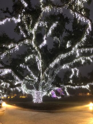 
Happy New Year and goodbye, Christmas!  
