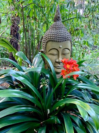 Walking toward Coit Tower 