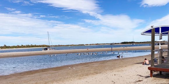 There’s a Mum & a toddler in the pond, the pelicans don’t take any notice.