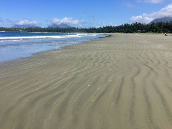 Incredible beach walks