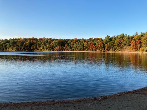walden pond
