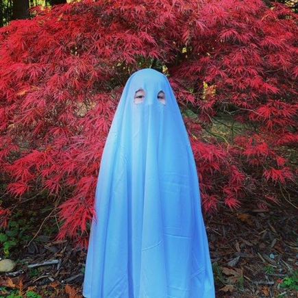 Boo!! My grandson!!  It’s what he wanted to be and his parents were more than happy. And what a safe way for me to post his picture on the Internet! 