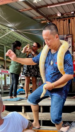 Pet a Python anyone?