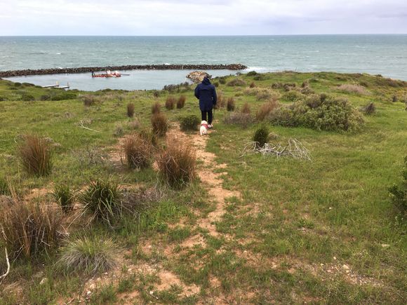 Down to the harbour, icy wind.