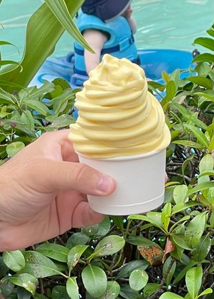 Mango dole whip