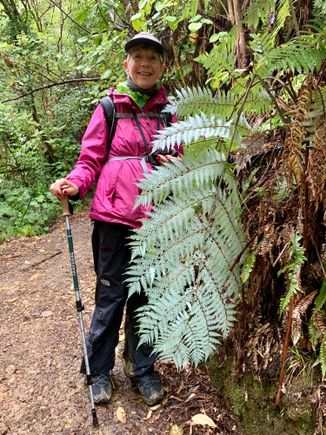  The silver Fern, New Zealand’ssymbol. 