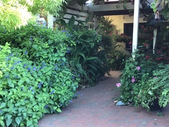 Tough, but lush looking