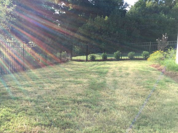 Toward the side of the house (right out of picture) that will be landscaped  in upcoming project.) 