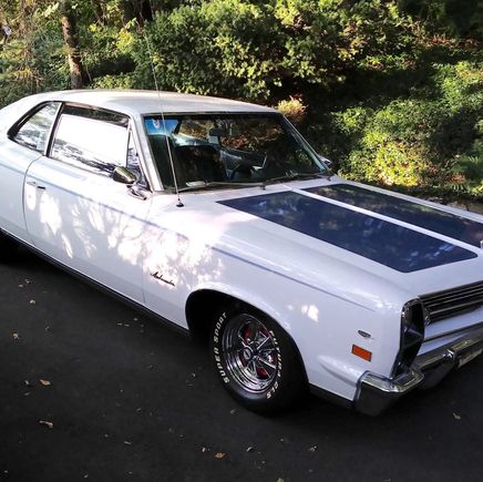 I’m letting this one go.