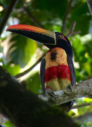 Costa Rica 2015
