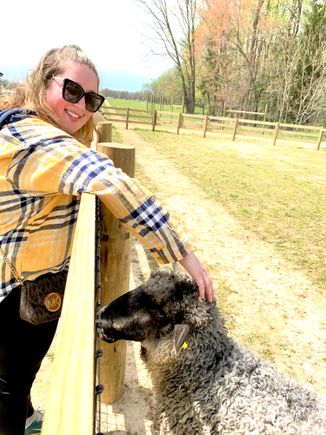 There are animals there too