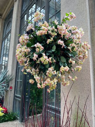 Hanging globe of orchids