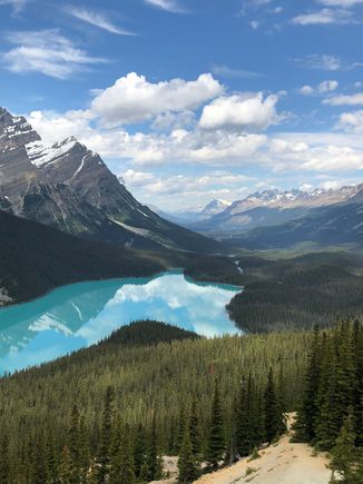 Peyto Lake 