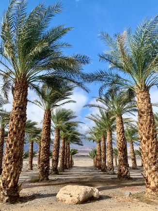 Resort grounds 