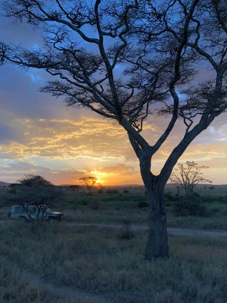 Serengeti sunset