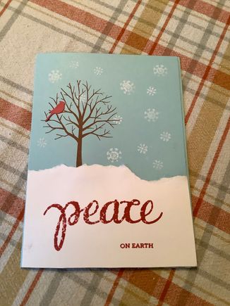 This one is more about using die cuts and I made the class tear the white paper to make a snowy looking ground.