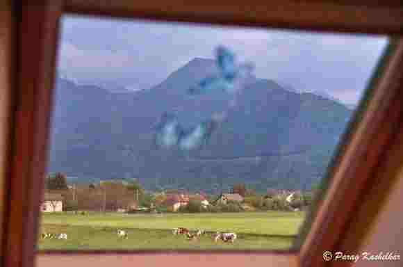 Fabulous view from the top floor dormer window.