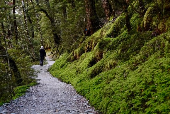 Same; channeling gruezi.