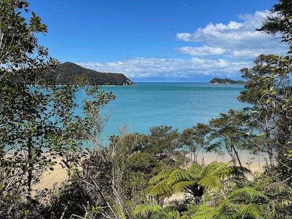 Occasionally, there are nice views of the water and beaches through breaks in the trees